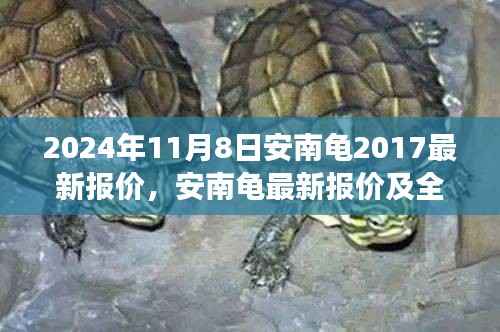 2024年视角,安南龟最新报价及全面评测