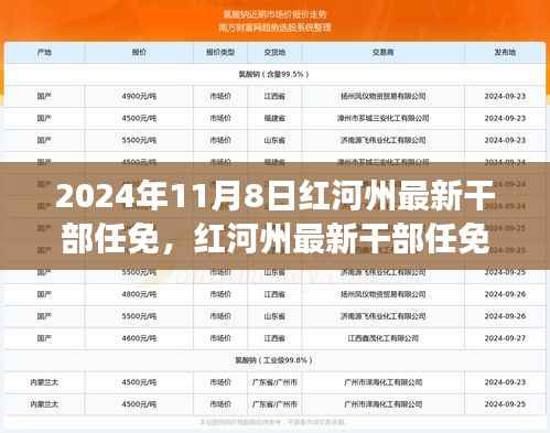 2024年红河州最新干部任免及未来人事调整展望