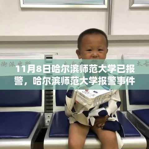 哈尔滨师范大学报警事件,背后的真相与是非探讨