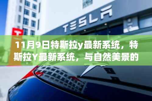 特斯拉Y最新系统,与自然美景共舞,启程内心宁静的浪漫之旅