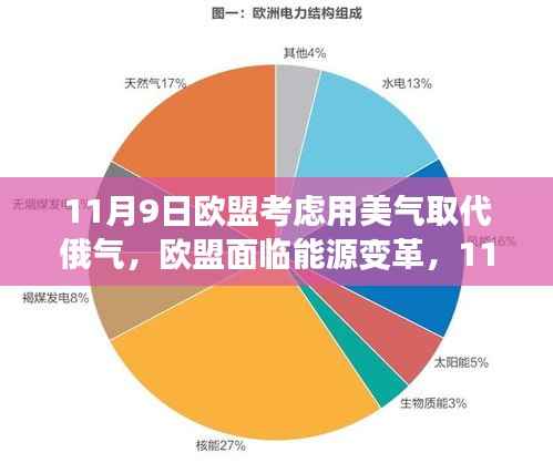 欧盟面临能源变革,考虑以美国天然气替代俄罗斯天然气供应的决策时刻(欧盟用美气替代俄气)