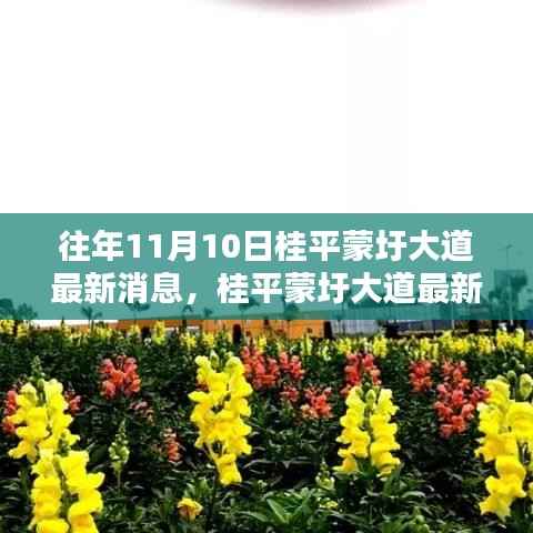 桂平蒙圩大道最新动态获取全攻略,轻松掌握最新消息动态