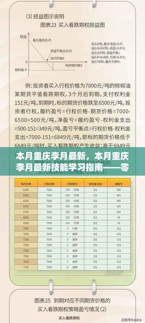 零基础到进阶全攻略,重庆李月最新技能学习指南