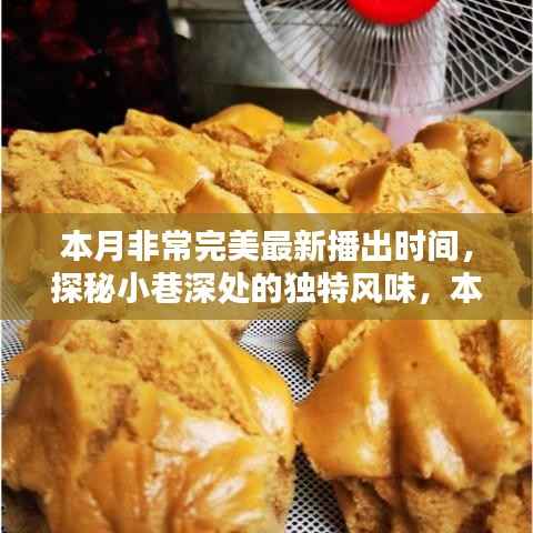 本月完美新播,小巷深处的独特风味小店惊艳时光探秘之旅