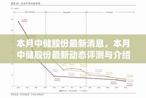 本月中储股份最新动态,评测与详细介绍