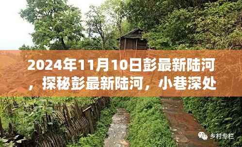 探秘彭最新陆河,小巷深处的味觉奇遇之旅(2024年11月10日)