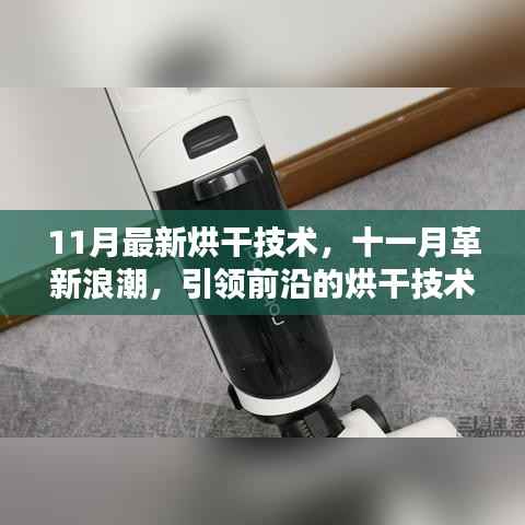 揭秘十一月最新烘干技术革新,前沿浪潮引领行业探秘