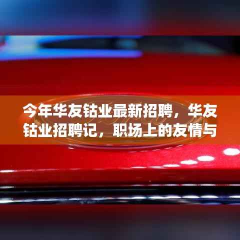 联系我们 第262页