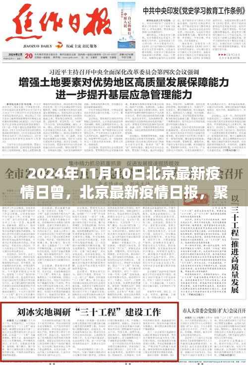 2024年11月10日北京疫情日报,动态更新与防控要点全解析
