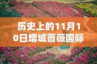 历史上的11月10日增城蔷薇国际房价揭秘,最新价格一览表!