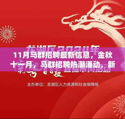 金秋十一月马群招聘热潮,新机遇引领时代风潮,最新招聘信息一览