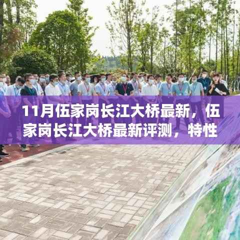 伍家岗长江大桥最新评测,特性、使用体验与目标用户分析揭秘