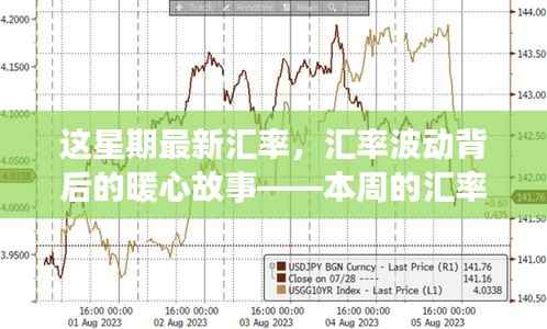 本周汇率波动背后的暖心故事与日常小趣事
