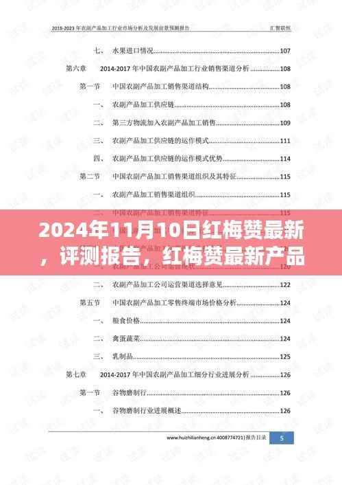 红梅赞最新产品深度评测与介绍报告(2024年最新版)