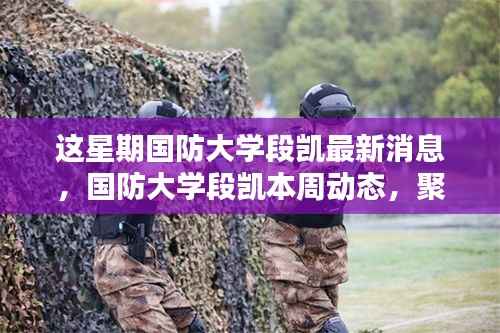 国防大学段凯最新动态揭秘,本周聚焦及其特定领域的影响力与地位观察