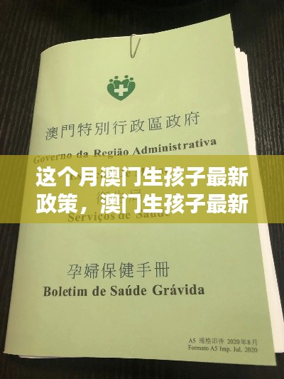 澳门生孩子最新政策全面介绍与评测,本月最新动态分析