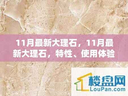 11月最新大理石深度解析,特性、体验、竞品对比及目标用户群体探讨