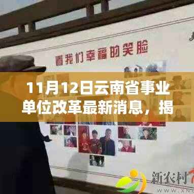 云南省事业单位改革最新消息下的特色小店探秘之旅