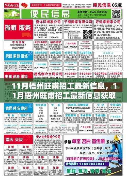 11月梧州旺甫招工最新信息及应聘全攻略,初学者与进阶用户必看