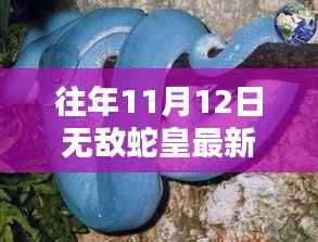 诚聘英才 第248页