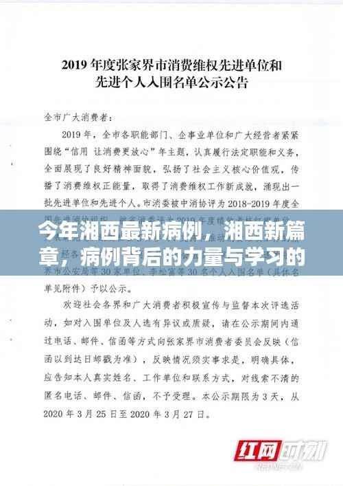 湘西最新病例背后的力量与学习魔法,揭示湘西新篇章的启示