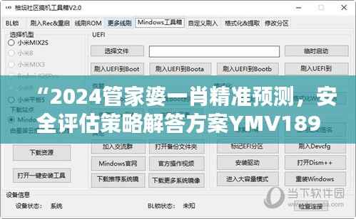“2024管家婆一肖精准预测,安全评估策略解答方案YMV189.61”