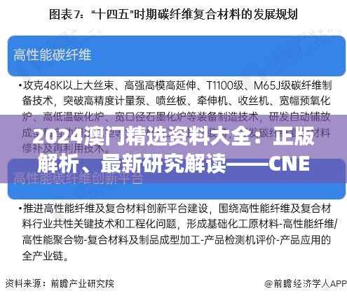 2024澳门精选资料大全：正版解析、最新研究解读——CNE350.58可变版