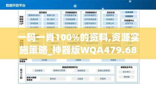 一码一肖100%的资料,资源实施策略_神器版WQA479.68