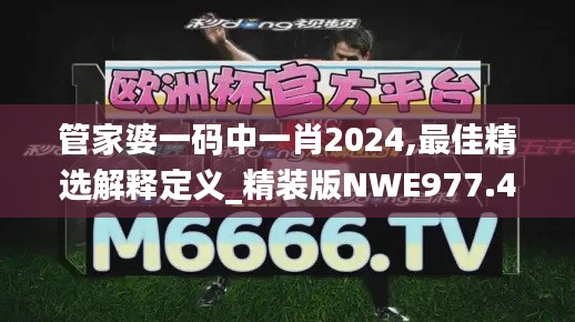 管家婆一码中一肖2024,最佳精选解释定义_精装版NWE977.45