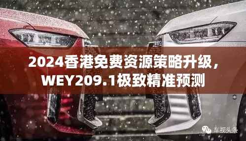 2024香港免费资源策略升级,WEY209.1极致精准预测