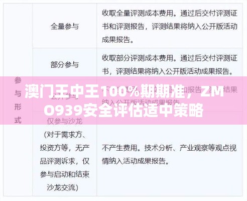 澳门王中王100%期期准,ZMO939安全评估适中策略