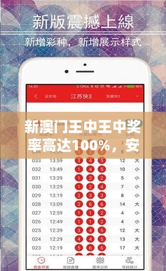 新澳门王中王中奖率高达100%,安全评估时尚版KIW514.09攻略