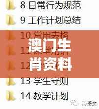 澳门生肖资料全集解析,精编版NOS784.89最佳解读