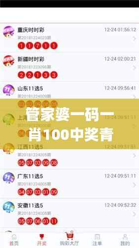 管家婆一码一肖100中奖青岛,综合判断解析解答_半圣EZG466.81