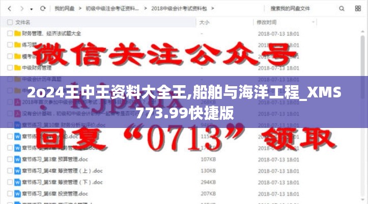 2o24王中王资料大全王,船舶与海洋工程_XMS773.99快捷版