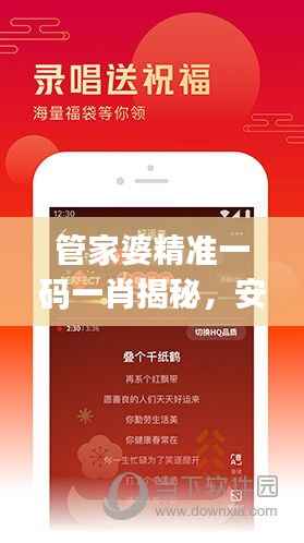 管家婆精准一码一肖揭秘,安全策略深度剖析——JDS994.53探索版