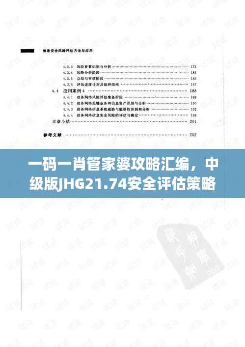 一码一肖管家婆攻略汇编,中级版JHG21.74安全评估策略