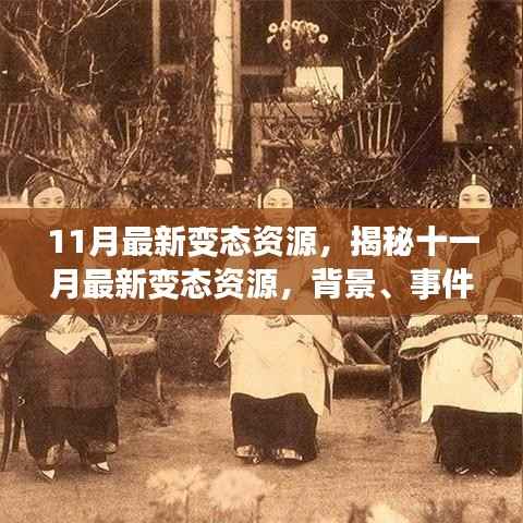 揭秘十一月最新变态资源，背景、事件、影响与时代地位全面解析