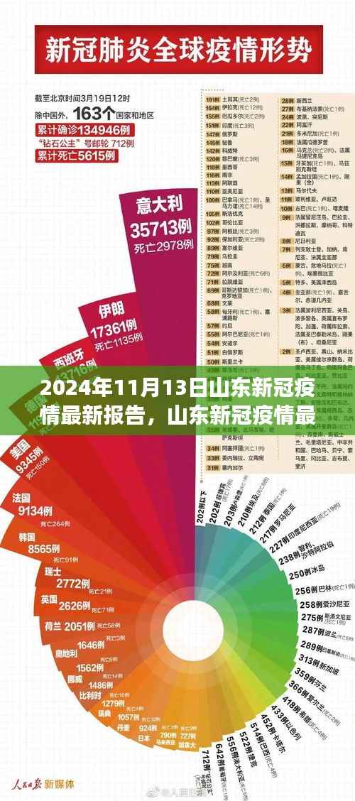 山东新冠疫情最新报告,多维视角下的深度分析(2024年11月13日)