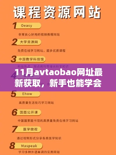 揭秘Avtaobao网址获取方法,新手到进阶用户的一站式指南(警惕法律风险)