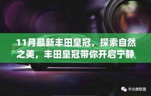 诚聘英才 第199页