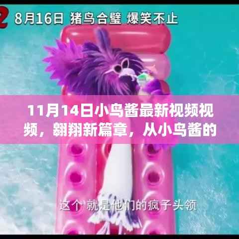 小鸟酱翱翔新篇章,学习变化的力量揭秘视频首曝