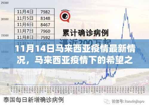 马来西亚疫情最新动态,希望之光下的共同前行之路(学习变化的力量)