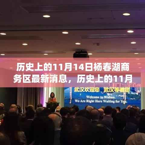 历史上的11月14日杨春湖商务区揭秘,深度解读最新发展及消息