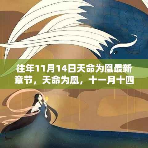 天命为凰,十一月十四日的日常与温馨篇章