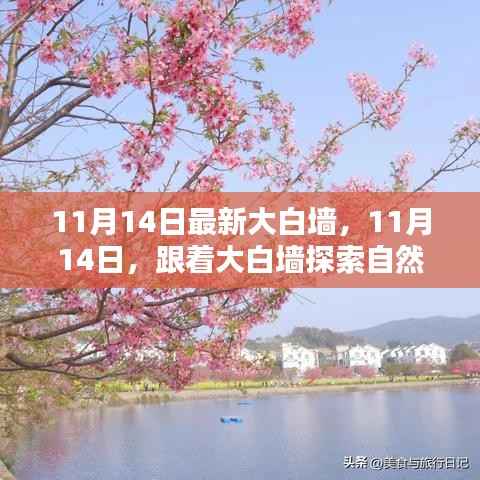 11月14日大白墙引领自然秘境之旅,探索内心宁静与平和的奥秘