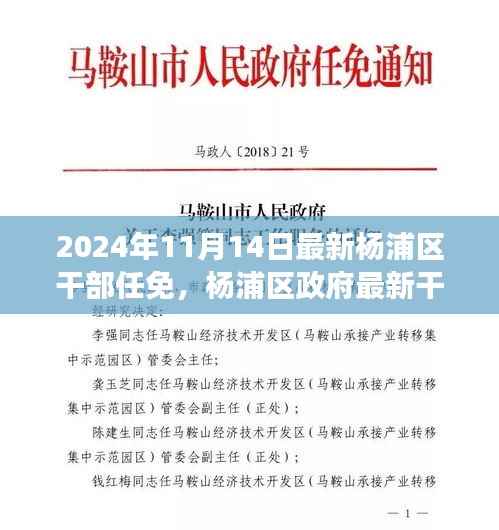 杨浦区政府最新干部任免动态,聚焦新任干部及未来展望(更新至2024年)