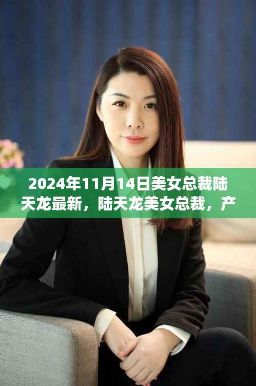 陆天龙美女总裁产品深度解析与全面测评,特性与使用体验揭秘(2024年最新)
