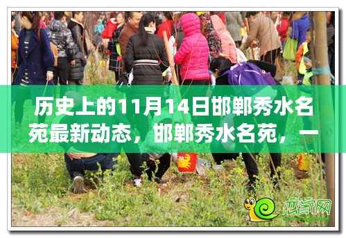 邯郸秀水名苑,温馨日常回忆之旅——11月14日最新动态回顾