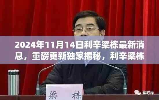 独家揭秘,利辛梁栋最新动态与消息重磅更新,2024年11月14日最新进展揭秘。